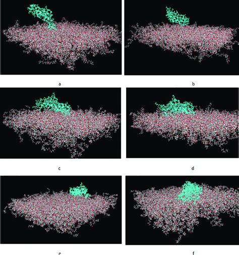 Image result for Fibronectin Molecular Structure