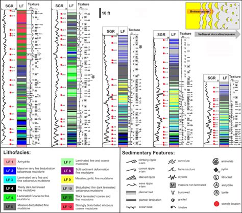 Image result for Gamma Ray Logging