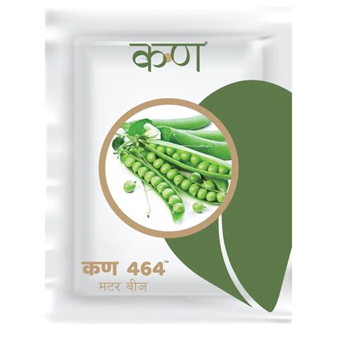 Kern 464 Peas – Kern Seedtech Pvt. Ltd.