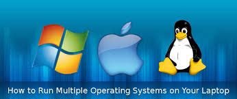 Image result for Multiple Operating Systems