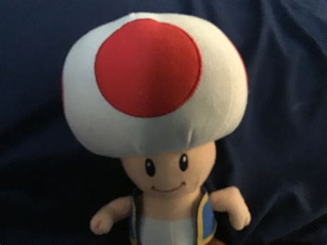 Rezultat imagine pentru Sml Gmod Toad