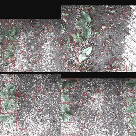 Image result for Arduino Weed Identifier Python