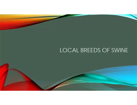 Common Breeds of Swine/Pigs | PDF