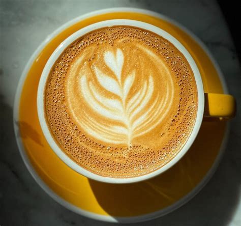 What Is Breve Coffee? Easy Homemade Breve Recipe Guide