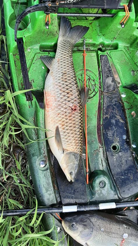 Crossbow Fishing Setup 的图像结果