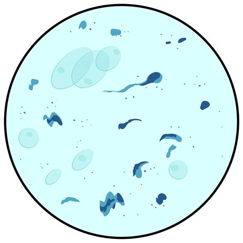 Cell Microscope 的图像结果
