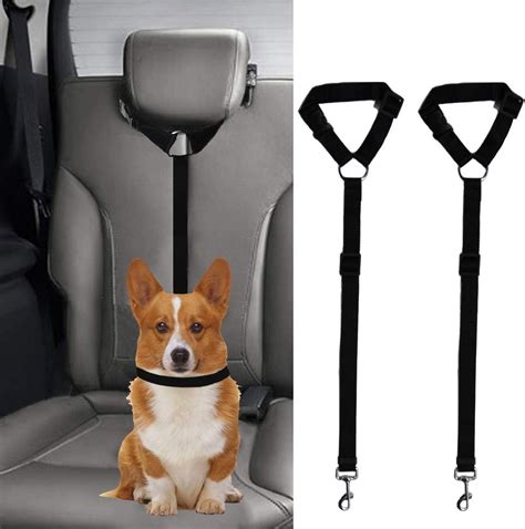 Car Seat Belt Dog at Samantha Hanlon blog