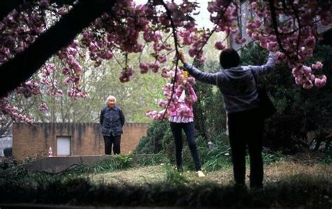 花有重开日人无再少年