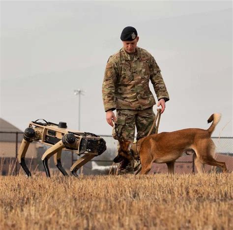Robot Gun 的图像结果