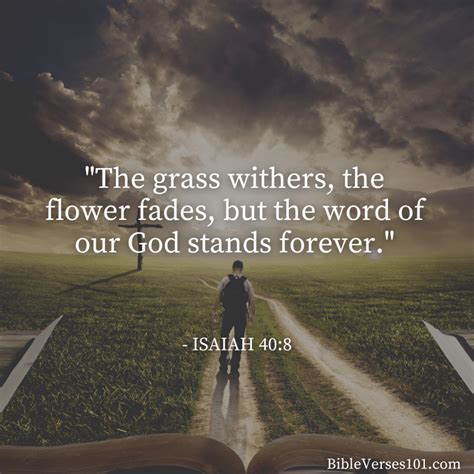 Image result for Scriptures for Healing Heartbreak