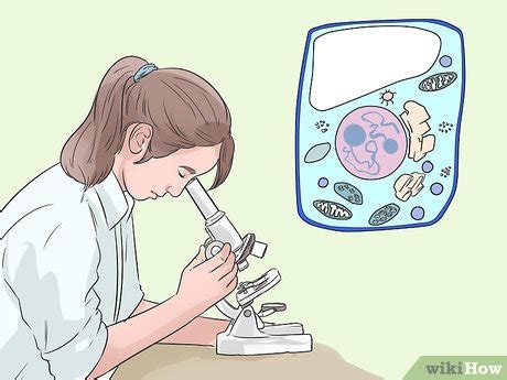 Image result for Fourth Grade Science Project