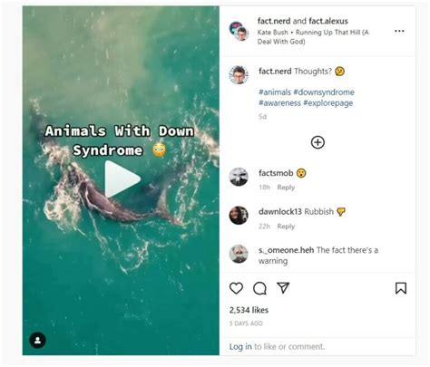 Fact Check: Can animals also suffer from Down Syndrome? - THIP Media