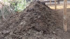 Vermicomposting - A Complete Guide | Process | Preparation | Advantage ...