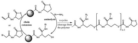 Homocysteine Thiolactone: Biology and Chemistry