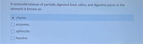 Image result for Partially Digested Food