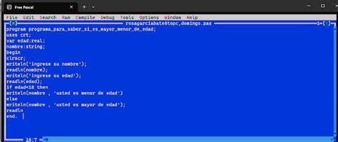 Inicios Programacion Pascal 的图像结果