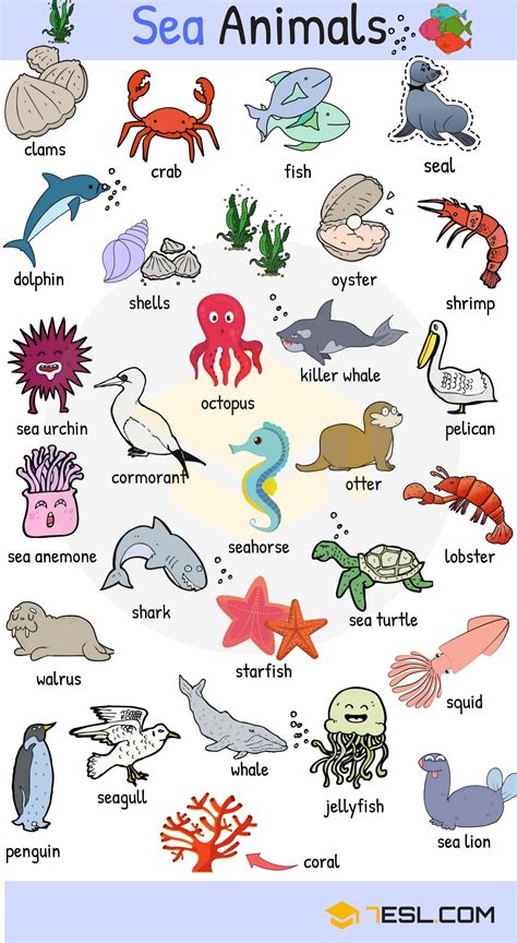 Learn Names of Sea Animals in English - ESLBUZZ