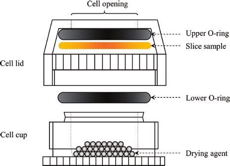 Image result for Cell Diffusion Model Kit