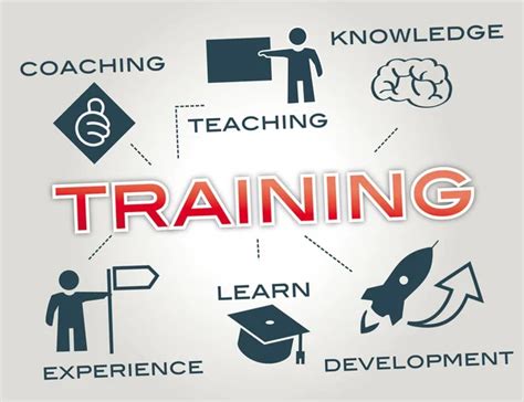 Training Check In 的图像结果