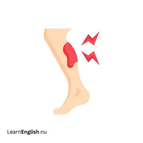 Body parts in Spanish - learn spanish
