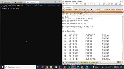 Python Reverse Shell 的图像结果