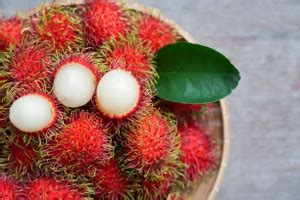 Cloud Farm Rambutan Plant Price in India - Buy Cloud Farm Rambutan ...