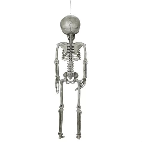 Image result for Alien Skeleton Prop