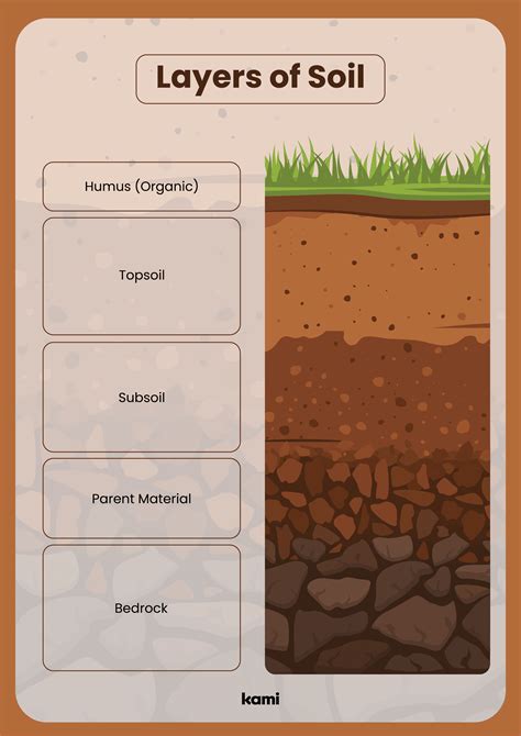 Layers of Soil for Teachers | Perfect for grades 4th, 5th, 6th, 7th, 8th | Science Classroom ...