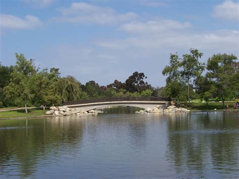 OC Birder Girl: San Joaquin Wildlife Sanctuary and Mason Regional Park