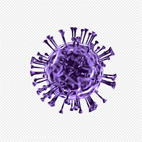 Cell Structure PNG 的图像结果