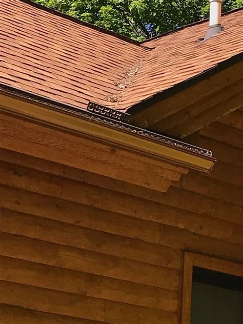 Gutter ProVac 的图像结果