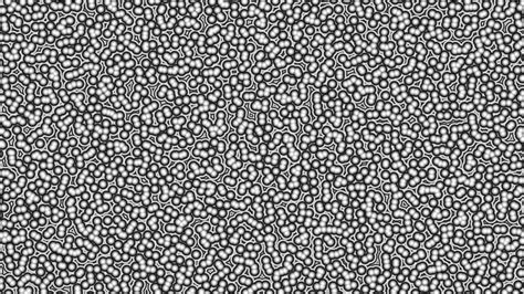 Image result for Cell Animation