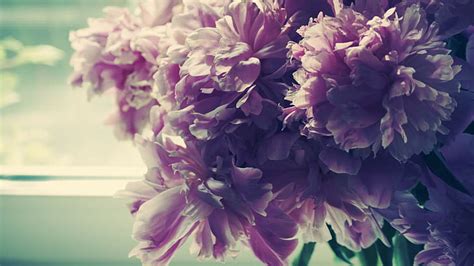 Image result for Nested JSON File Example