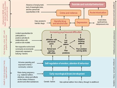 Image result for Life Course Approach