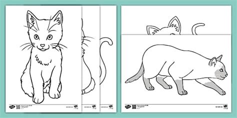 Printable Cats Colouring Sheets | Parents Support - Twinkl