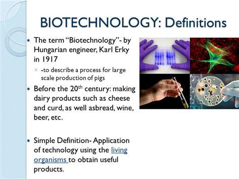 Biotechnology Examples 的图像结果