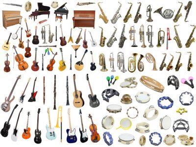 Image result for Different Types of Instruments