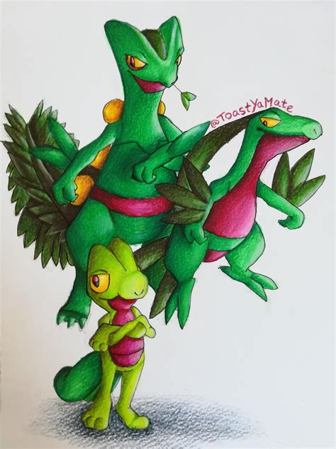 Image result for Pokemon Treecko Evolution