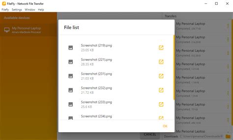 Image result for Filesfly20