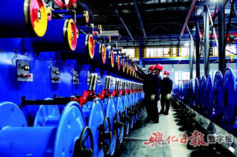 江苏兴达公司年产35万吨高性能子午线轮胎用钢帘线扩建项目（一期）正式投产--兴化日报