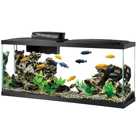 Aqueon 40 Gallon Breeder Tank Dimensions at Kelli Cole blog