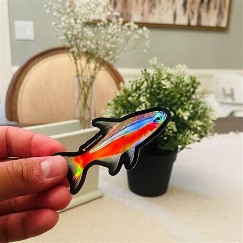 Neon Tetra Sticker (holographic) | Fish Art Sticker | Aquarium Art ...
