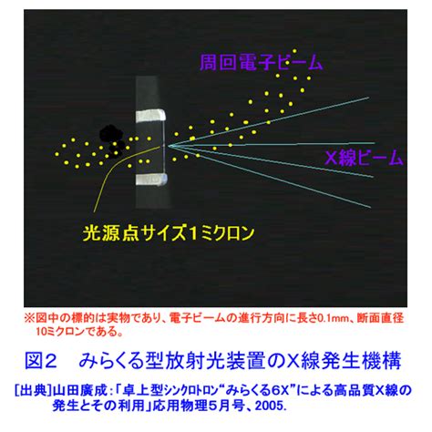Blue Light Screen Protector Computer 的图像结果