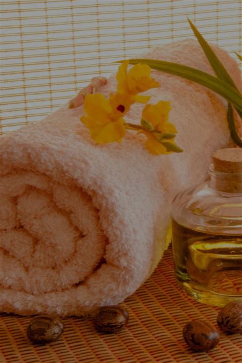 Anima Wellness