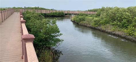 Laguna Madre Nature Trail, Texas - 135 Reviews, Map | AllTrails