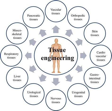 Tissue engineering Applications 的图像结果