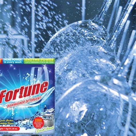 Buy FORTUNE Dishwasher Starter Combo - Dishwasher Detergent 1kg (Pack ...