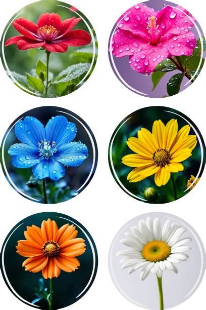 Magnets (चुंबक): Buy Magnets Online Starting at Rs.79 In India ...