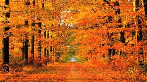 Free Images Of Fall Season at getcalliopeblog Blog