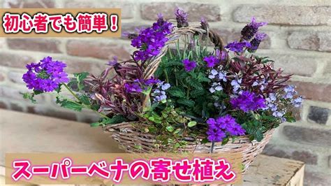 Image result for Java Print Statement
